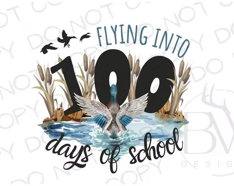 Flying into 100 Days